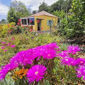  Apartamento Iraña Del Bosque